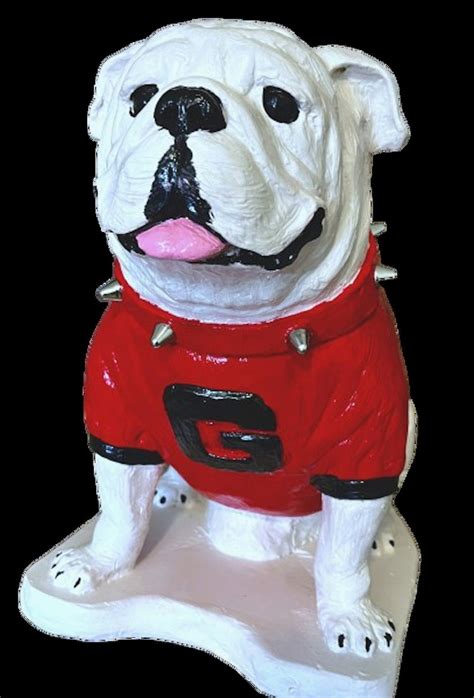 Bpom uga mascot